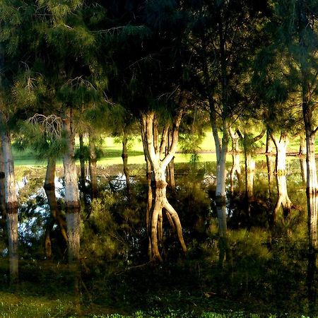 Lure Bed And Breakfast Normanville Exteriör bild