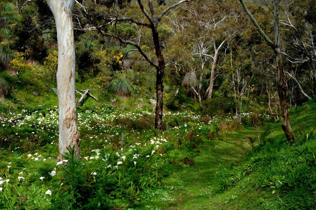 Lure Bed And Breakfast Normanville Exteriör bild