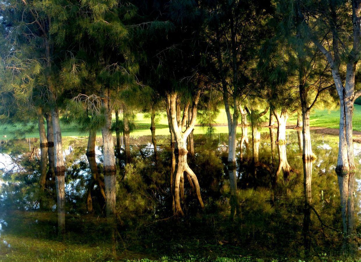 Lure Bed And Breakfast Normanville Exteriör bild